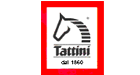 Tattini